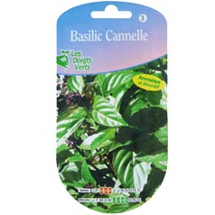 Manjeric�o Canela - Sementes